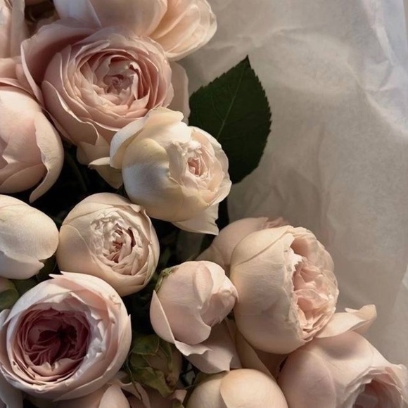 Save the show - Picture 2 of 4